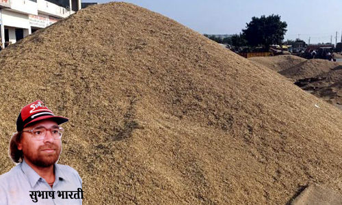 बासमती चावल की मांग बढऩे से धान के भाव में तेजी का रूख